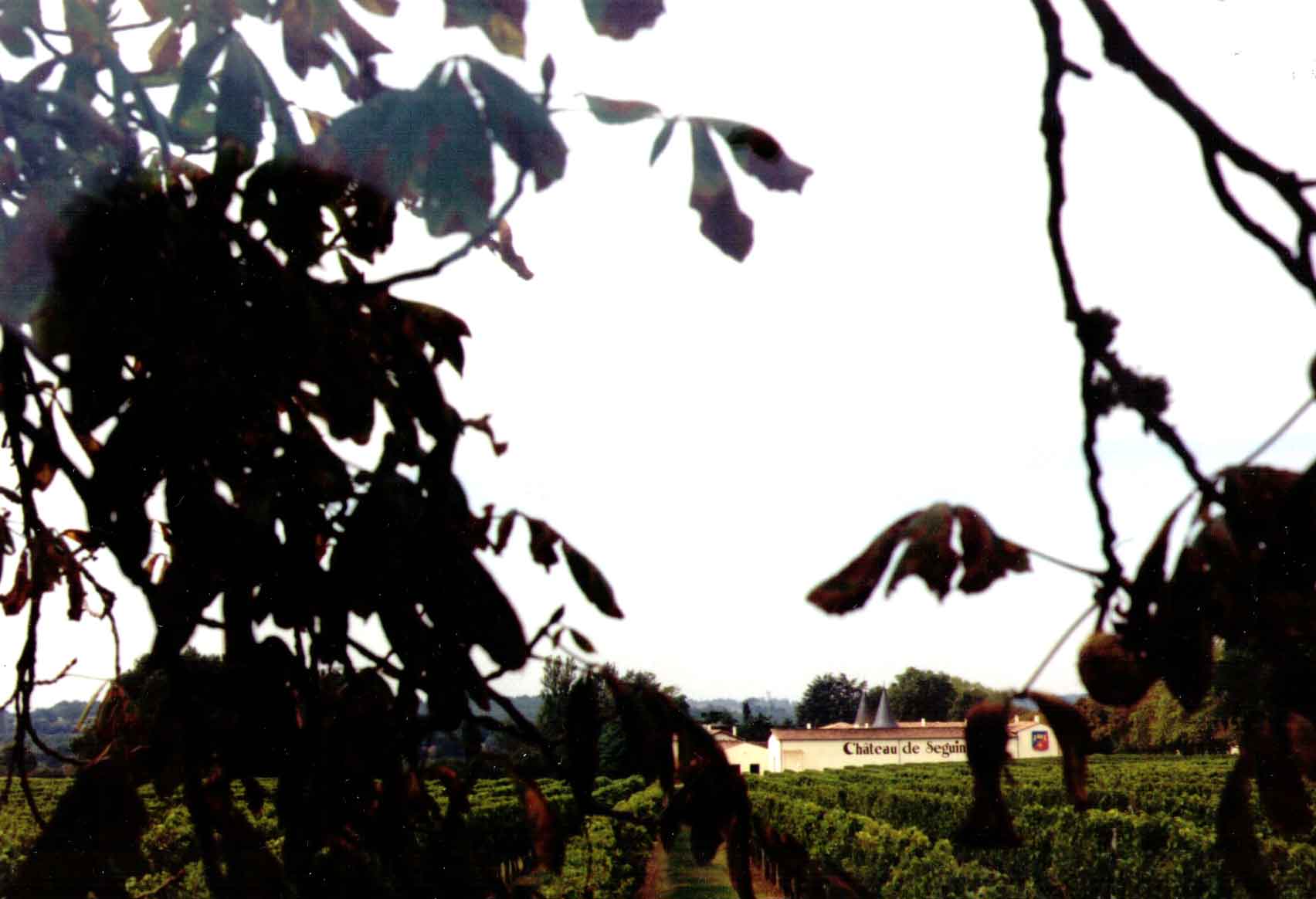 Chateau-01.jpg