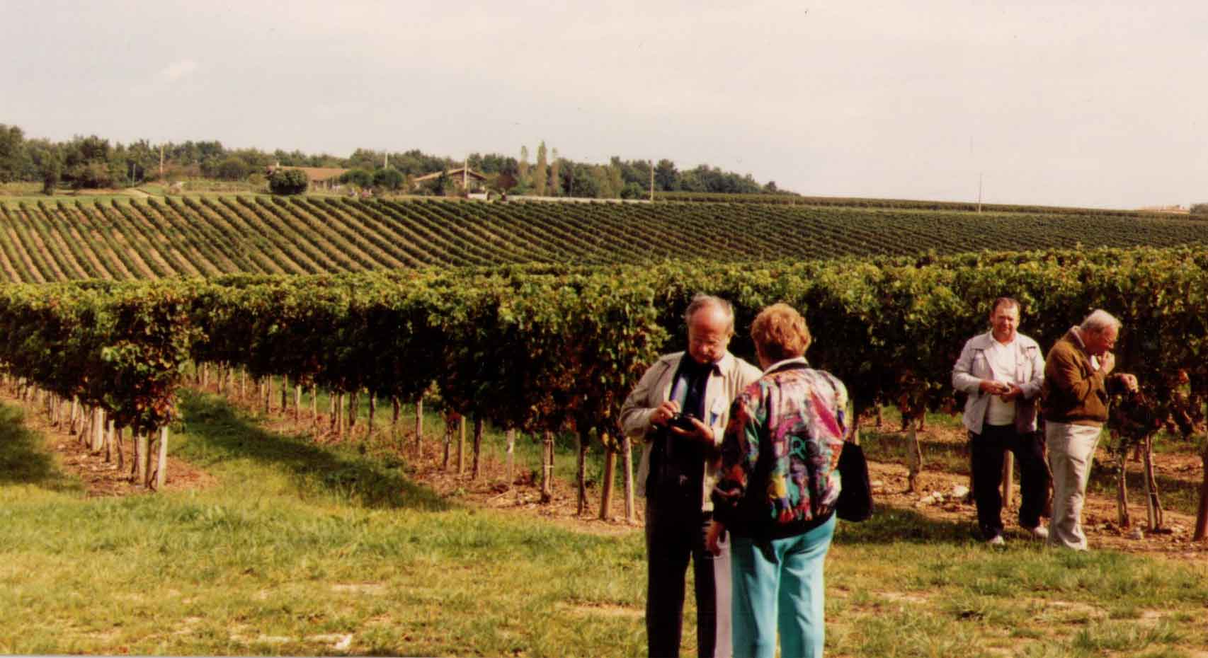 Chateau-06.jpg