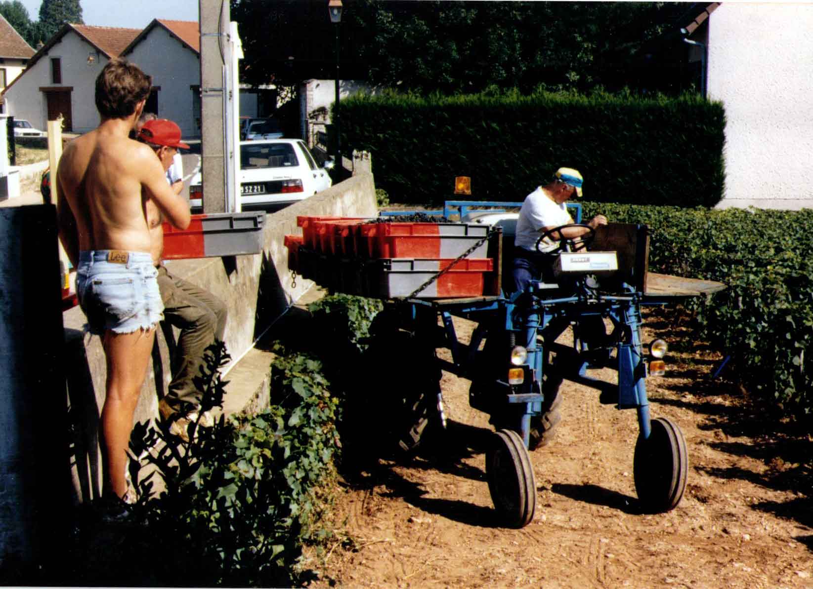 GerardVin-3.jpg