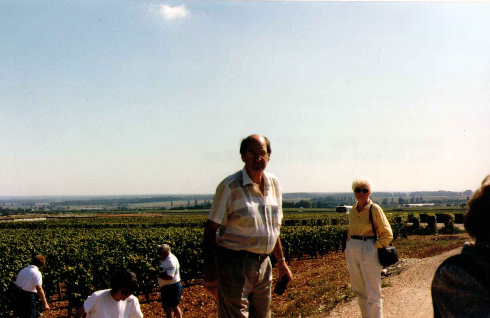 GerardVin-4.jpg