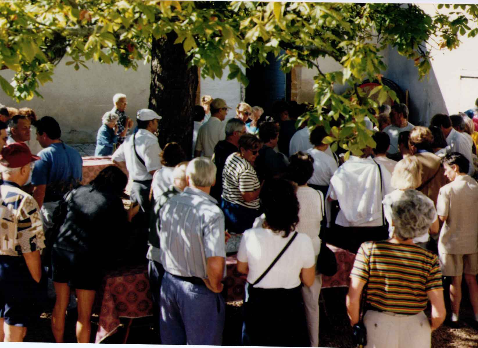 GerardVin-5.jpg