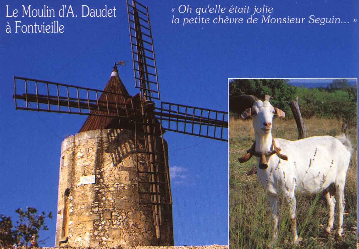 fontvieille-1.jpg