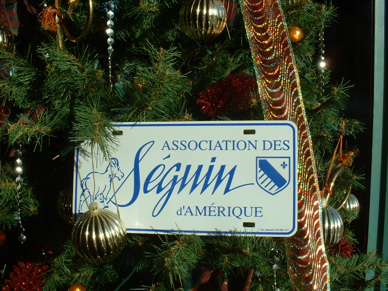 Calèche%20013.jpg